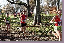 Begles 15.12.13 01 709 * 679 x 453 * (218KB)